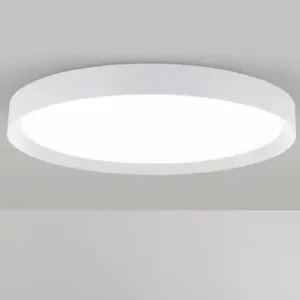 ניקי 80 - גוף תאורה צמוד תקרה מעוצב